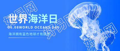 世界海洋日极简风微信公众号首图
