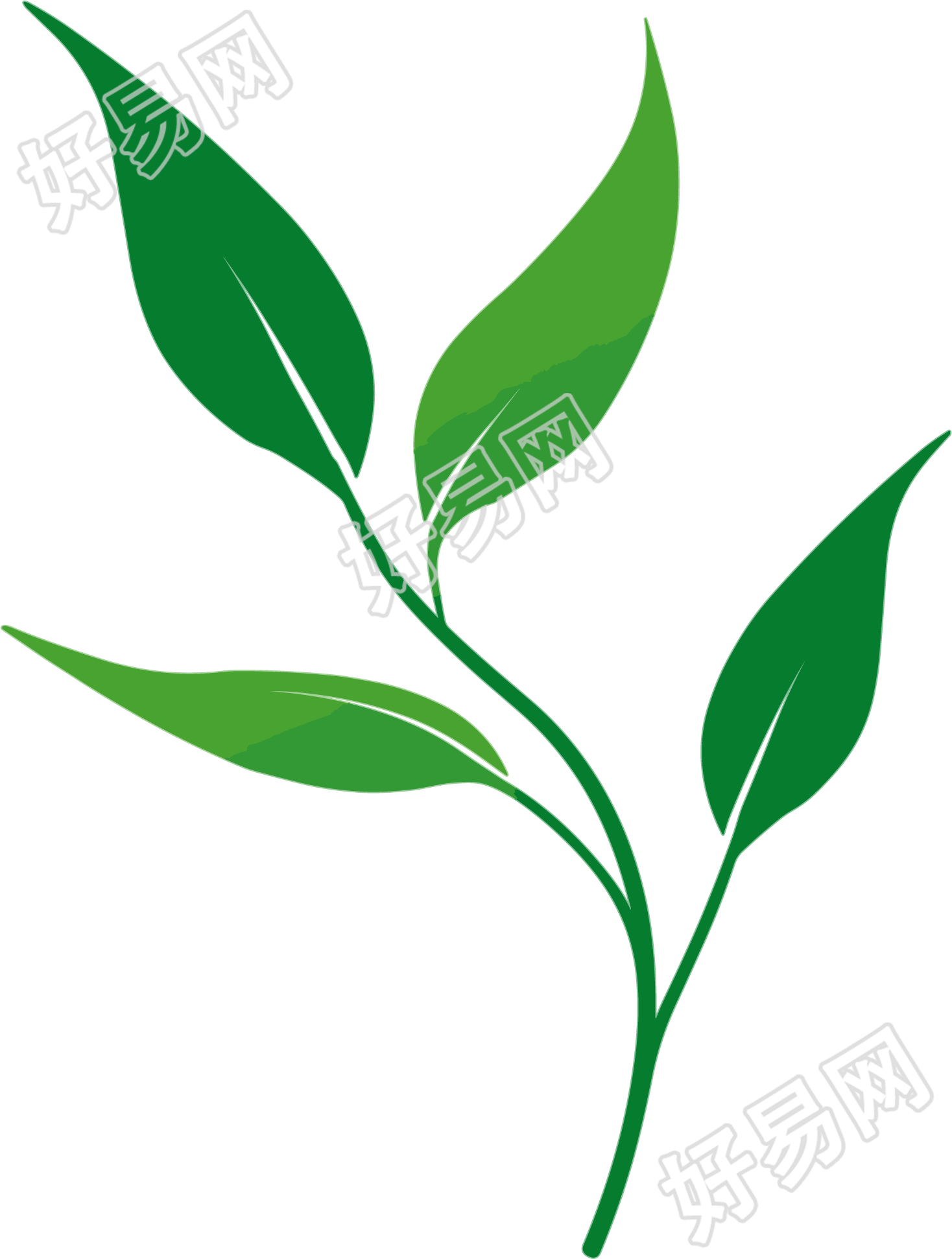 叶子矢量插画