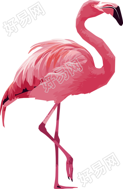 火烈鸟插画设计元素