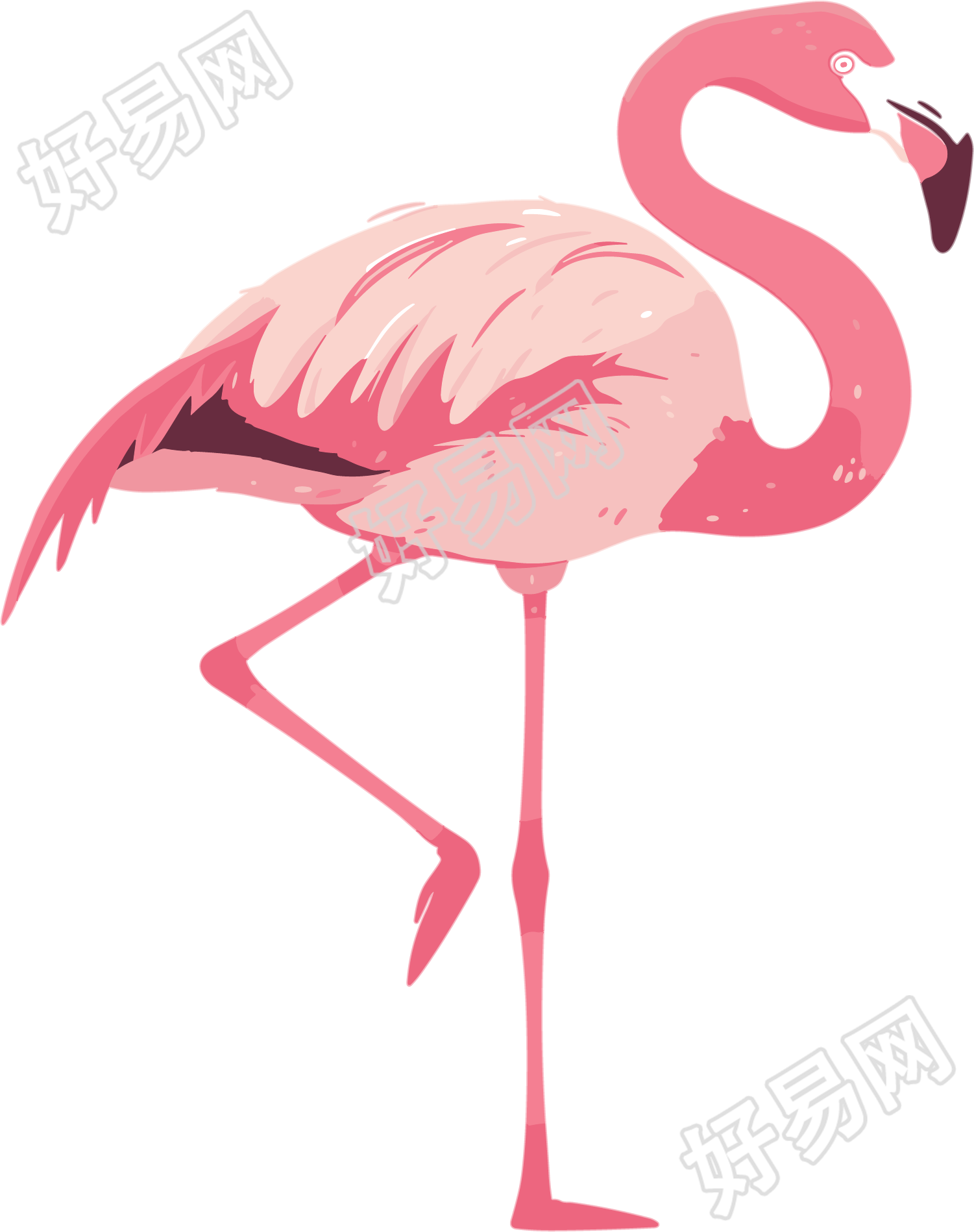 火烈鸟PNG高清插图