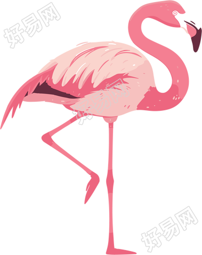 火烈鸟PNG高清插图
