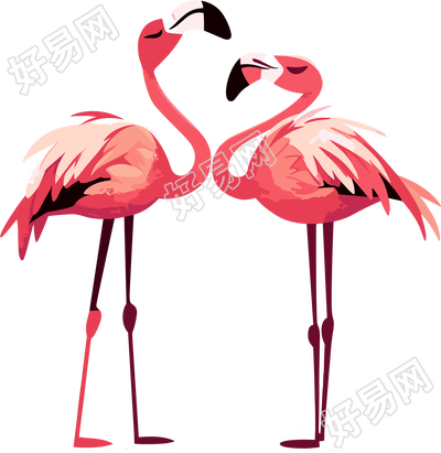 火烈鸟美丽插图