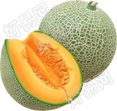新疆哈密瓜素材