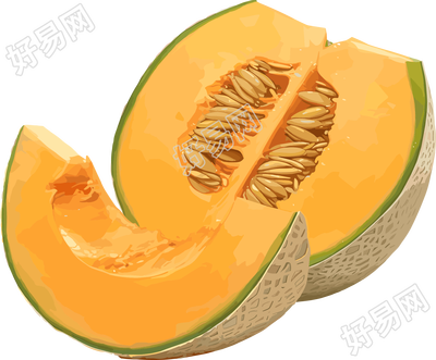 新疆哈密瓜插图