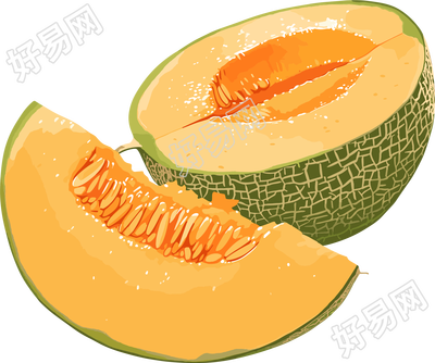 新疆哈密瓜插画设计