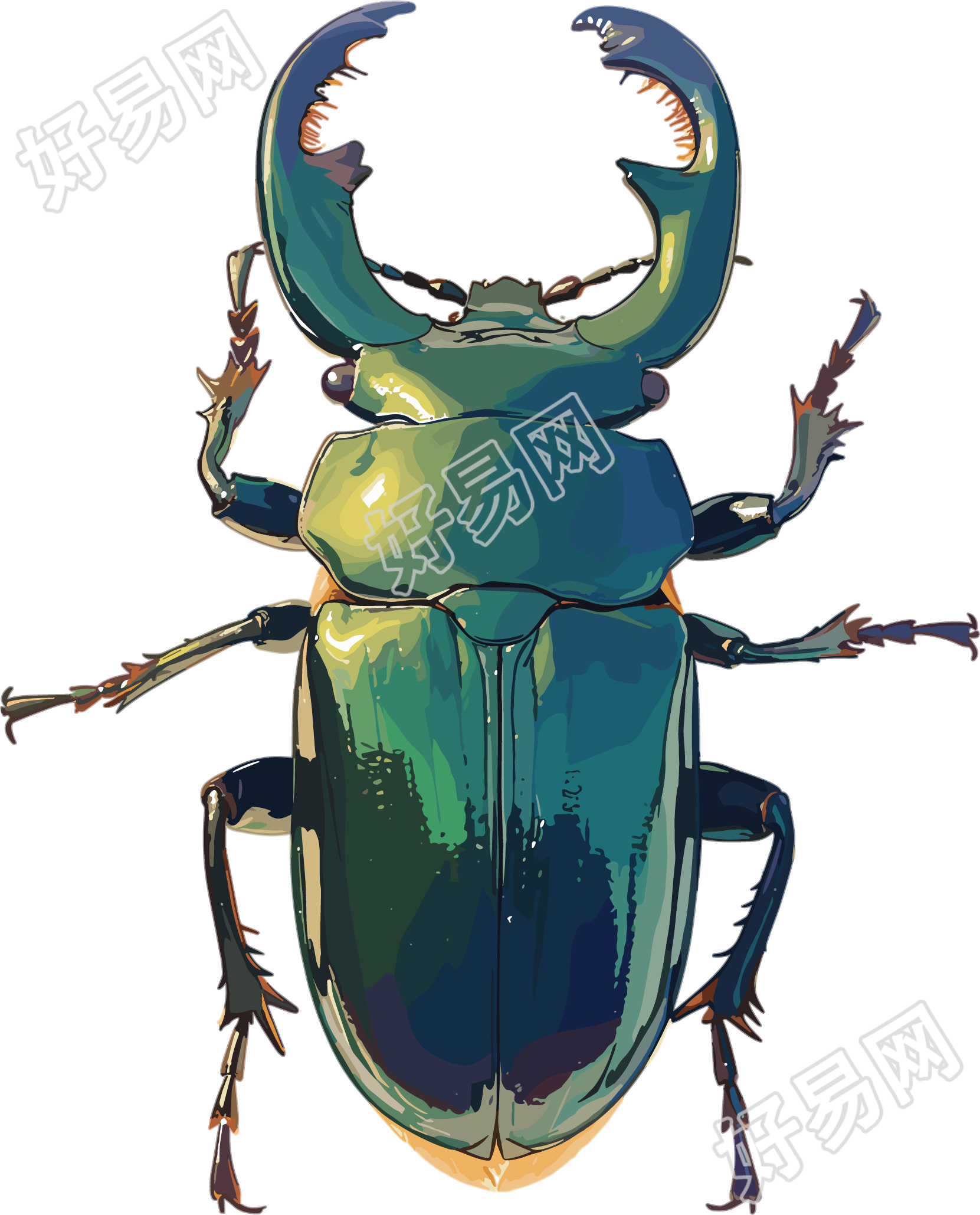 牛角虫昆虫插画