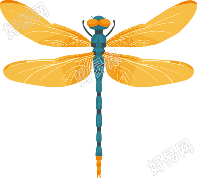 昆虫蜻蜓扁平插画