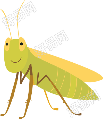 昆虫蚂蚱简约扁平插画