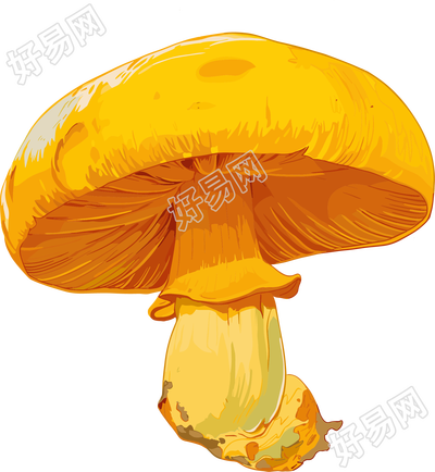 蘑菇插画设计元素