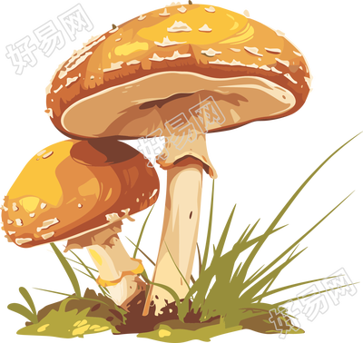 蘑菇商业设计元素
