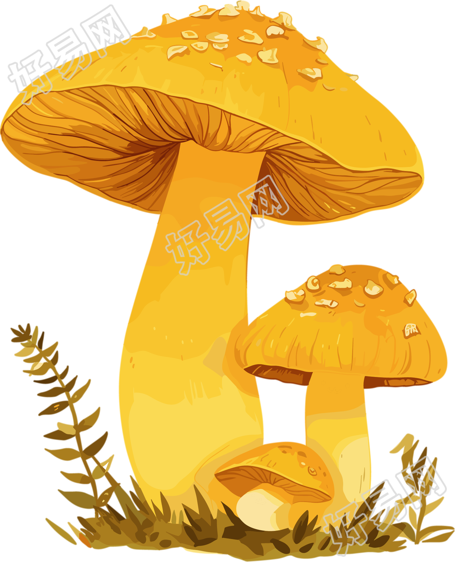 蘑菇插画素材