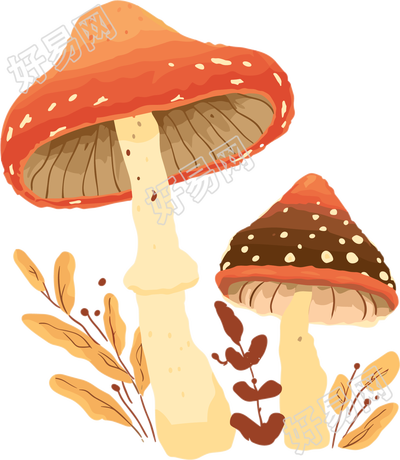 蘑菇矢量插图