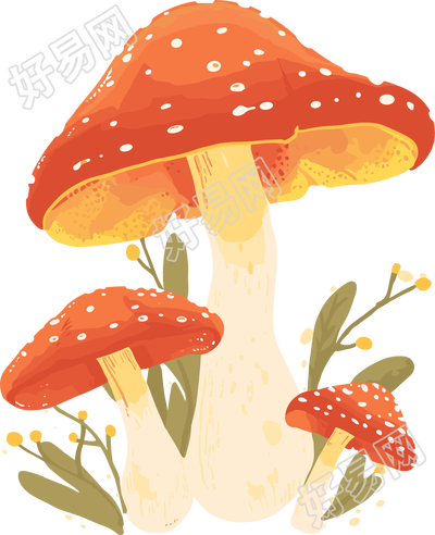 蘑菇透明背景插画