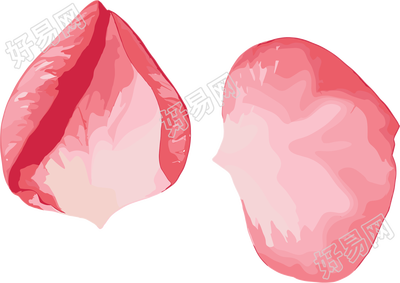 花瓣贴纸元素