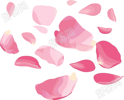 花瓣贴纸透明背景插图