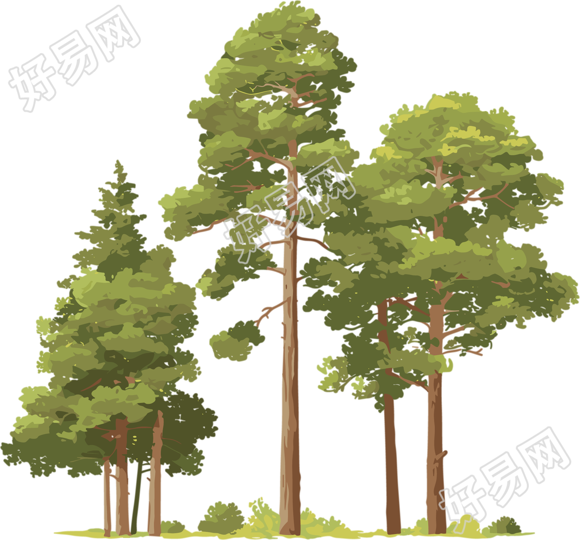 森林创意设计元素