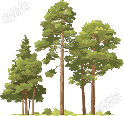 森林创意设计元素