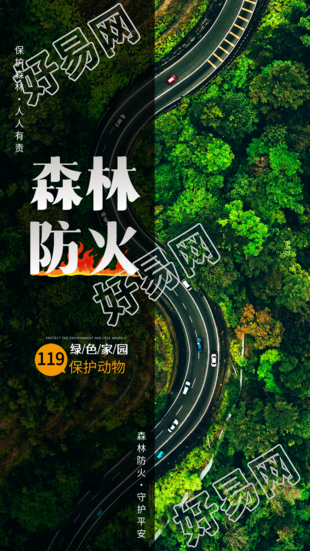 森林防火保护绿色家园实景海报