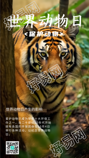 世界动物日森林中的东北虎实景手机海报