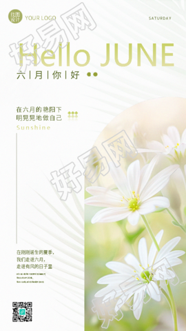 六月你好小雏菊极简风手机海报
