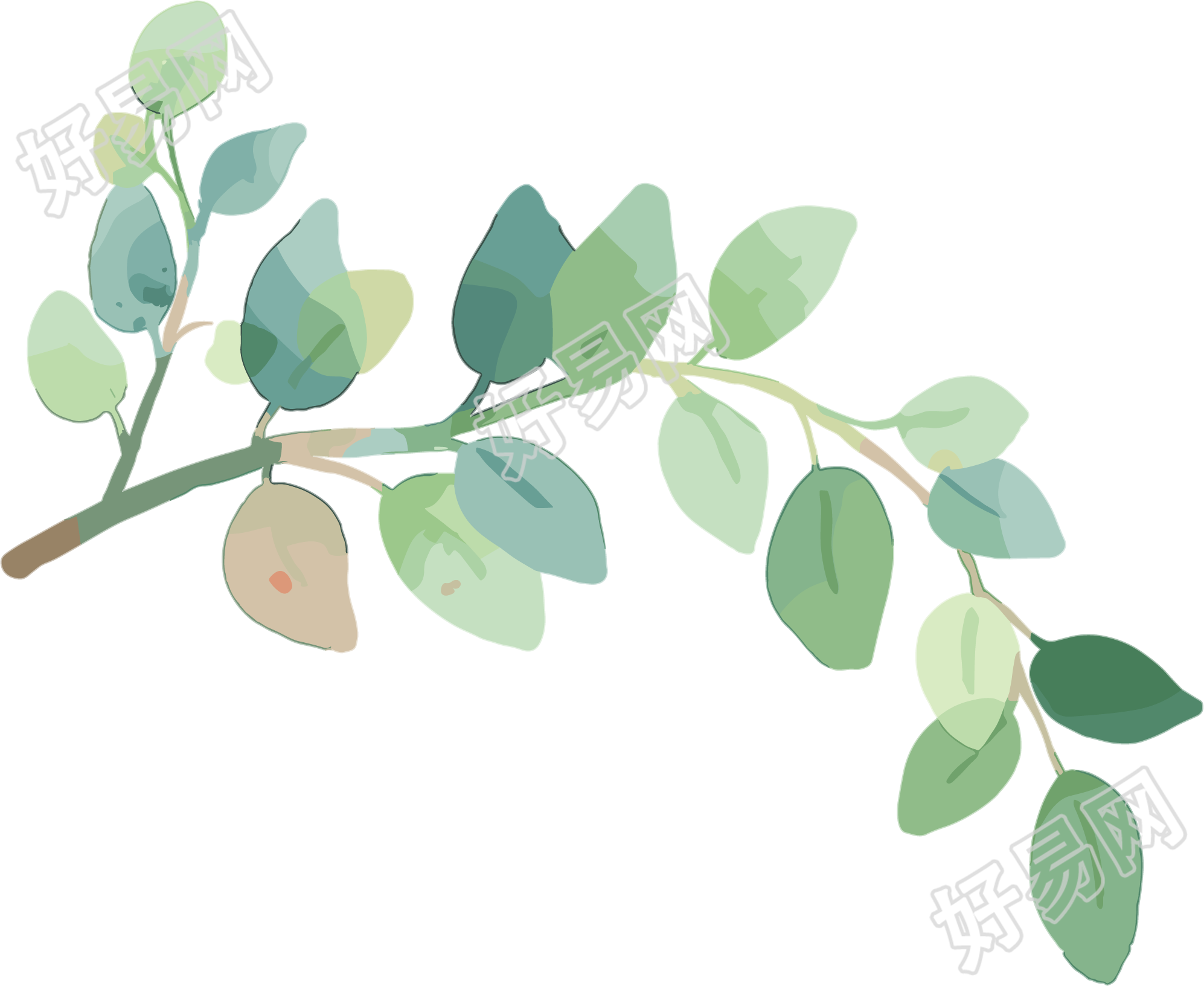 树枝水彩插画
