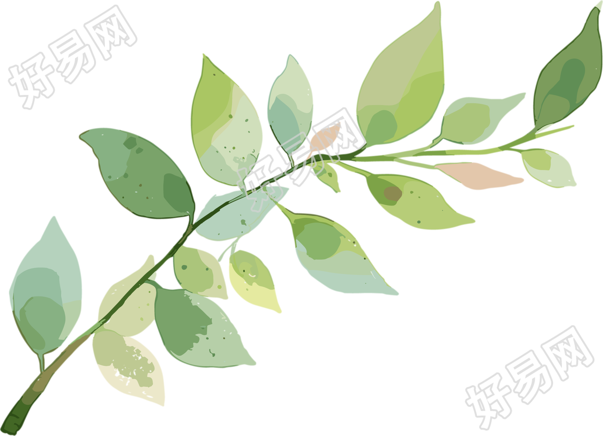 树枝水彩商用素材