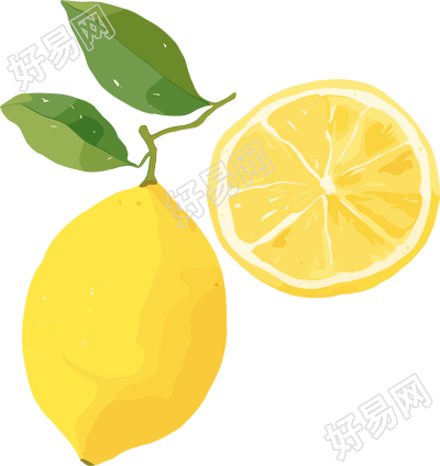 水彩柠檬插画