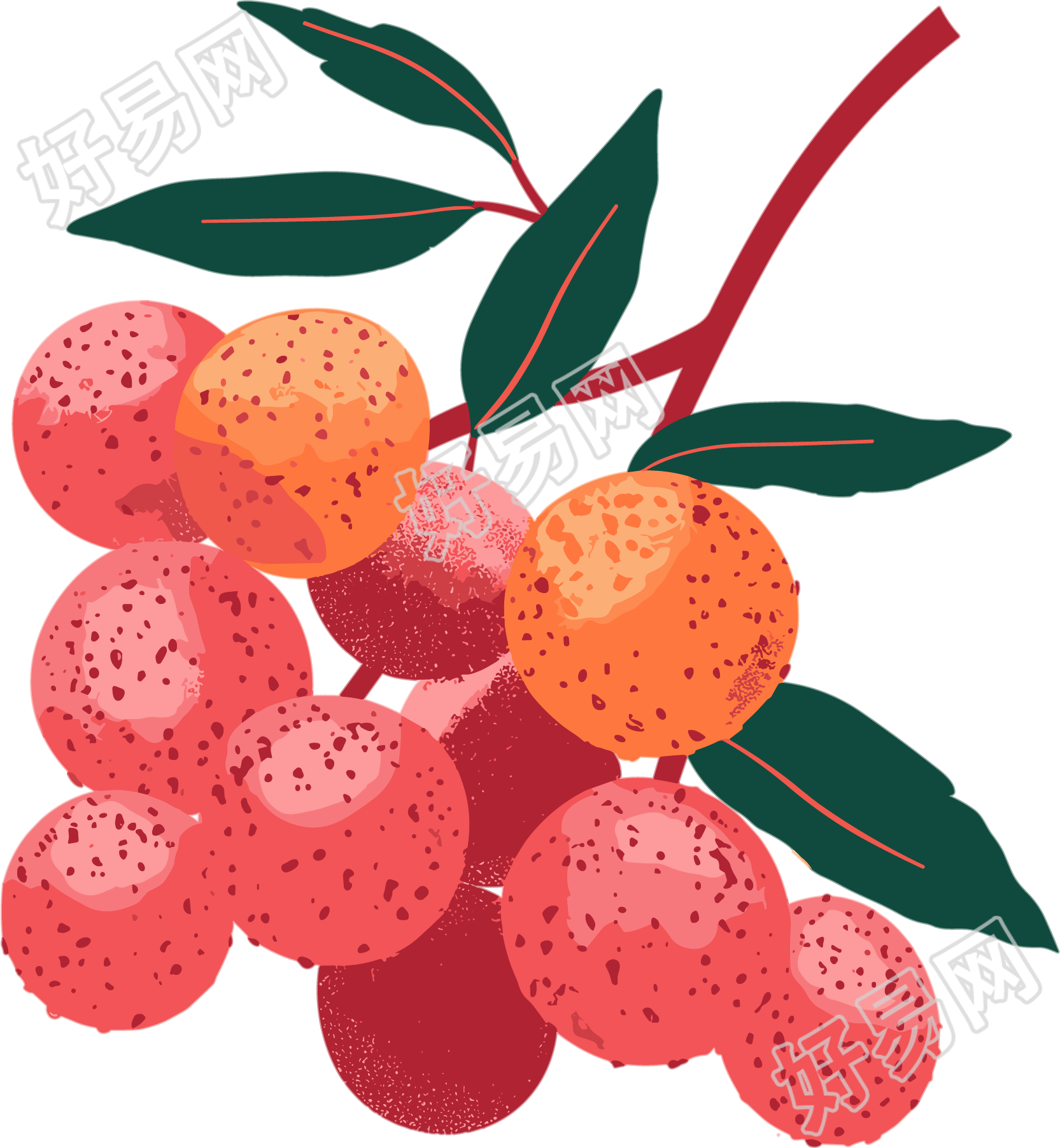 荔枝平面插画