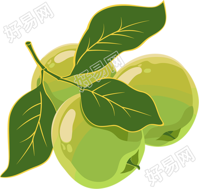 青梅插画素材