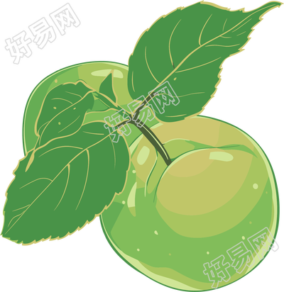 青梅可商用插图