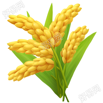 3D小麦穗简约素材