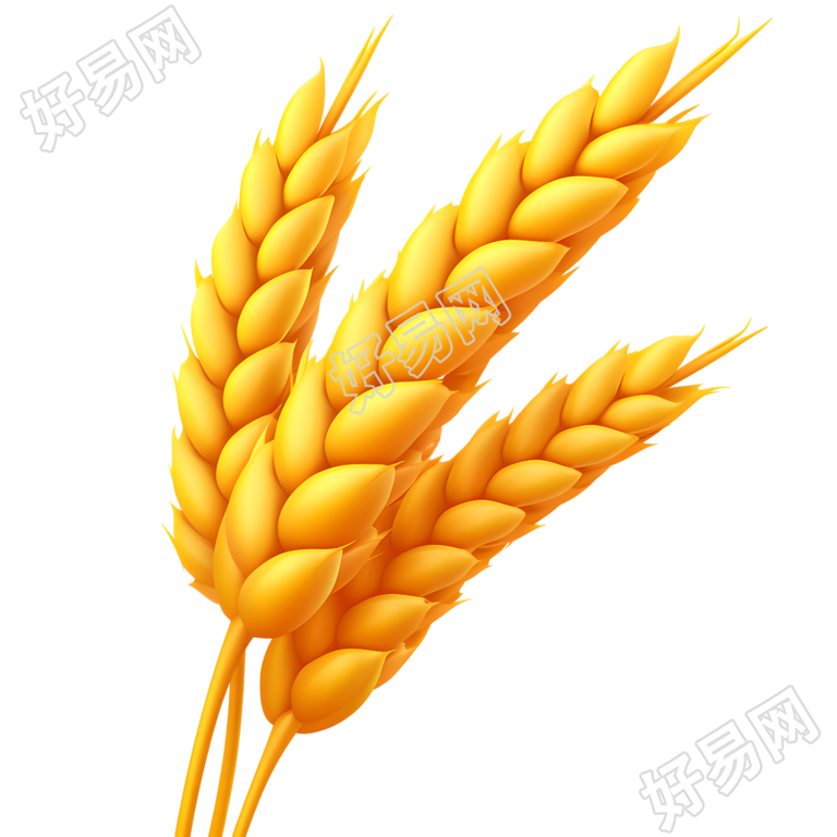 3D小麦穗商用素材