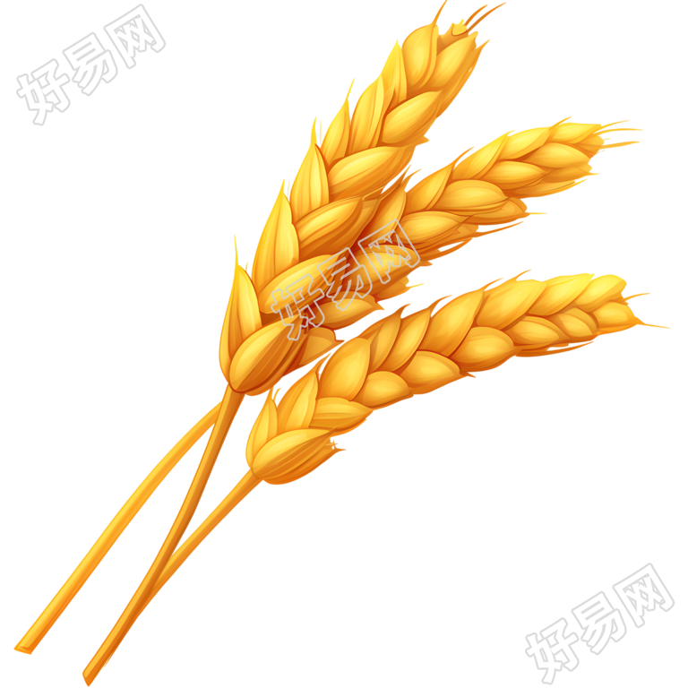 3D小麦穗创意设计元素