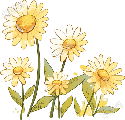 菊花插画设计元素