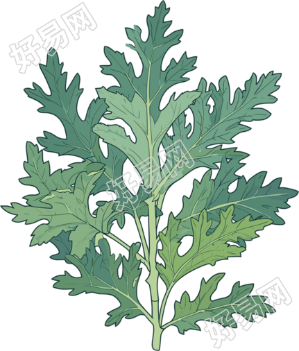 艾草简约设计元素