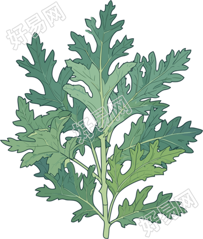 艾草简约设计元素