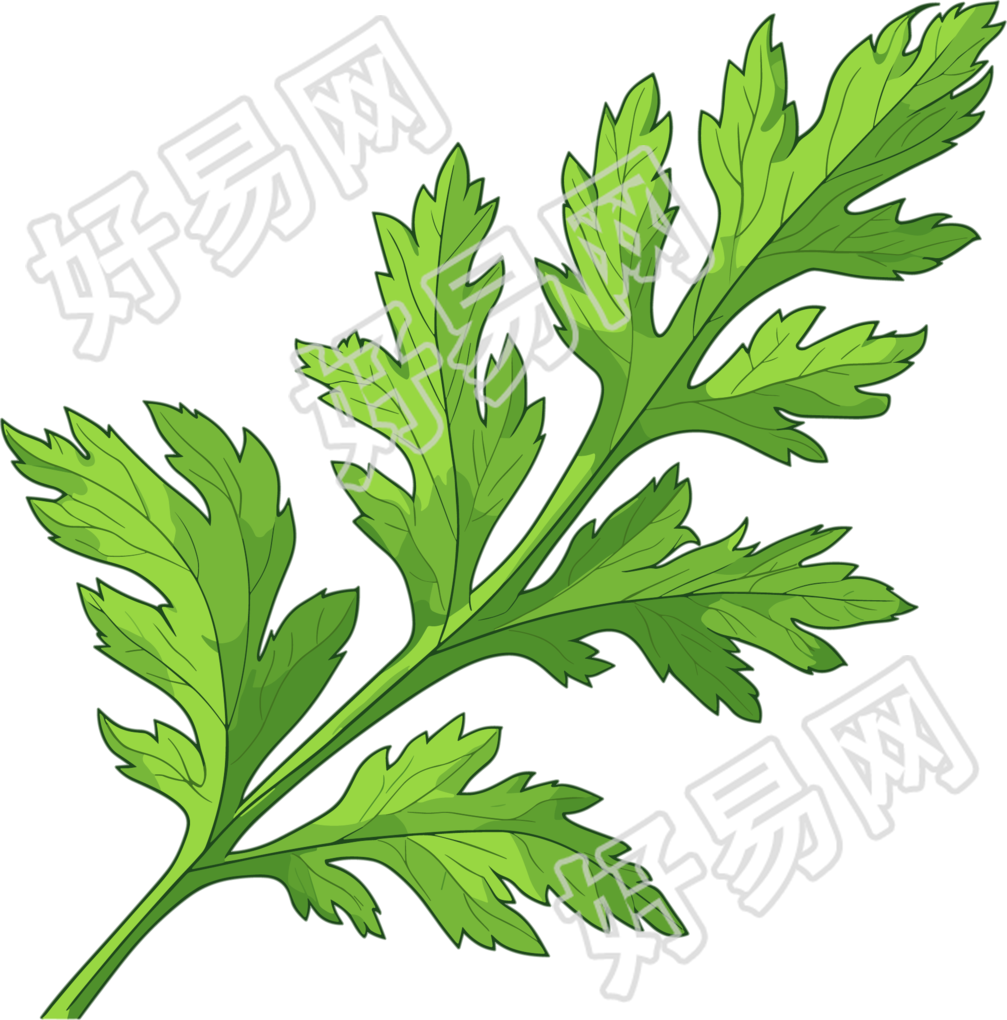 艾草高清插画