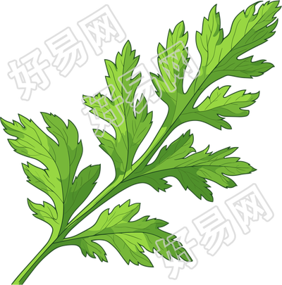 艾草高清插画