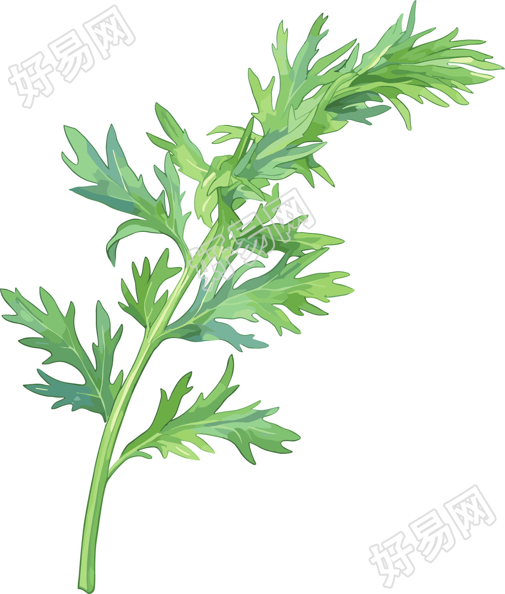 艾草高清图形素材