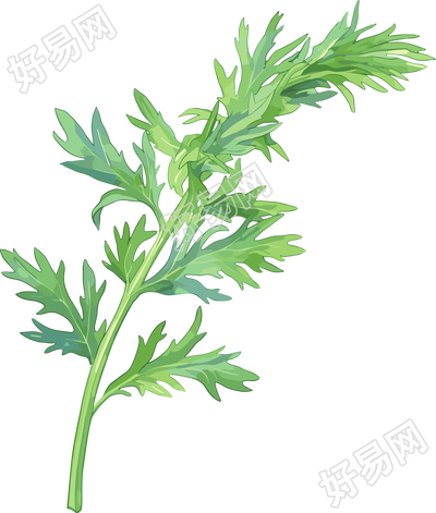 艾草高清图形素材