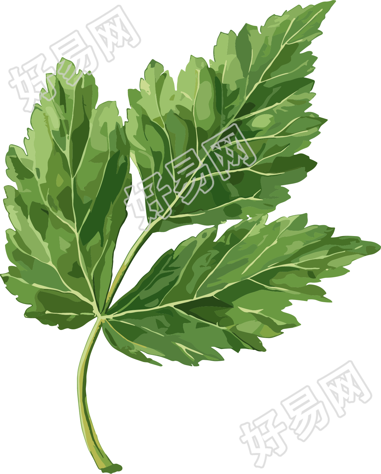 艾草创意素材