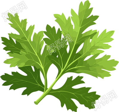 艾草简洁设计元素