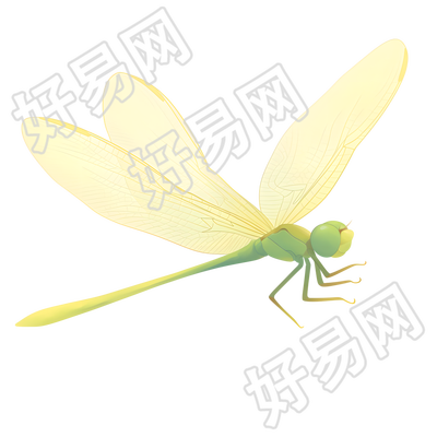 蜻蜓插画设计元素