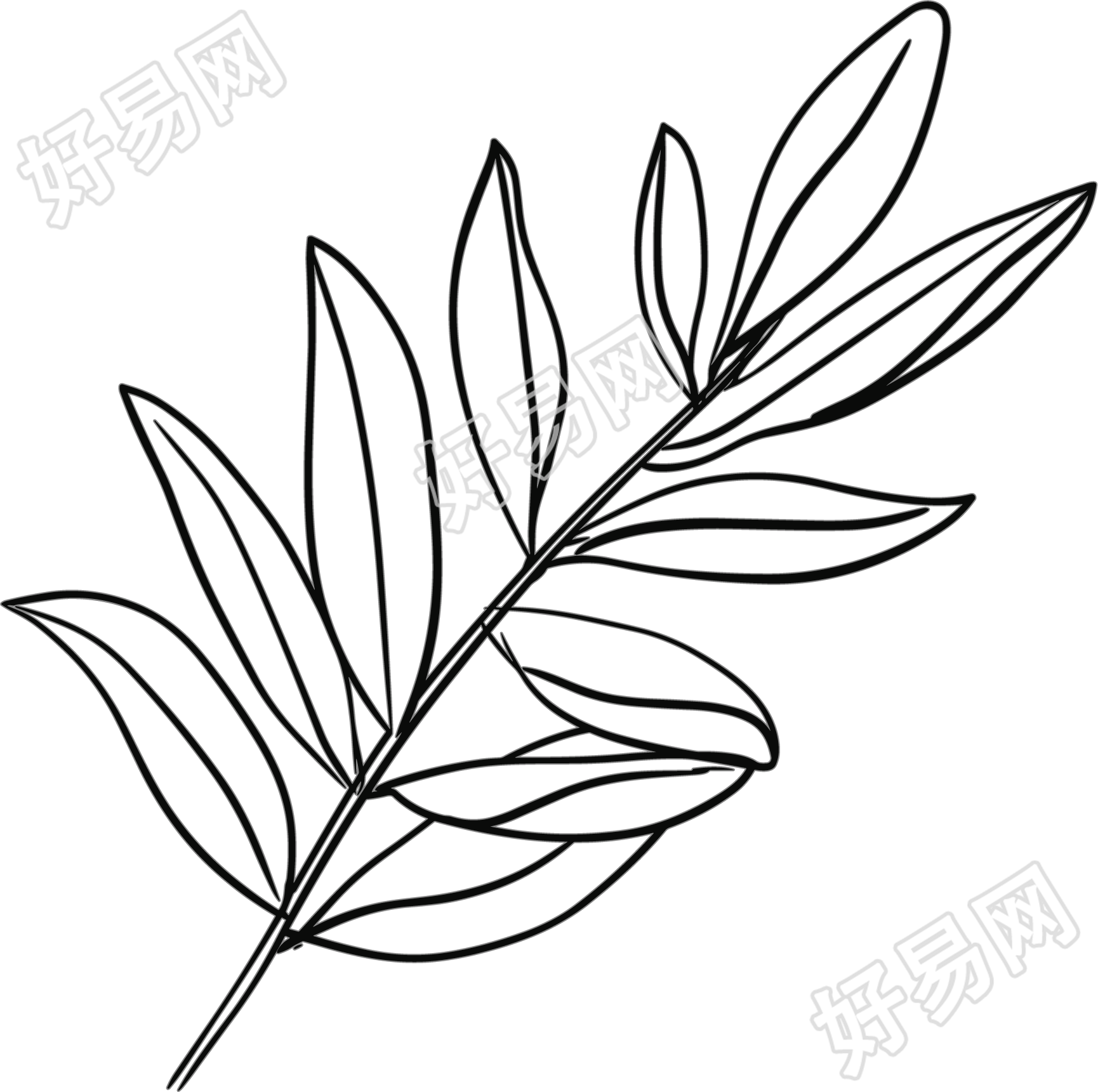 线条植物树叶插画素材