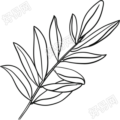 线条植物树叶插画素材