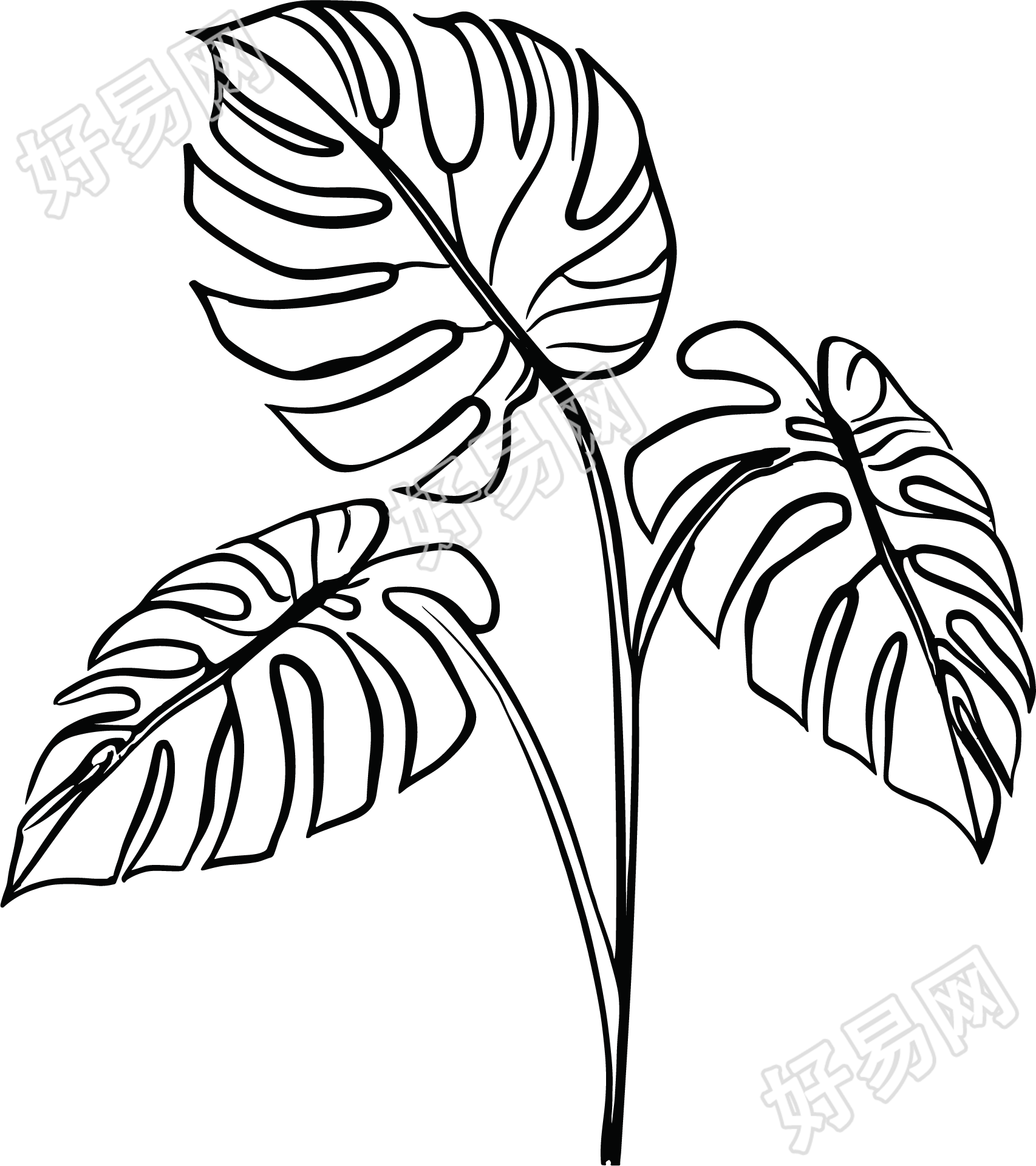 线条植物插画设计元素