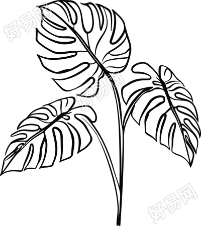 线条植物插画设计元素