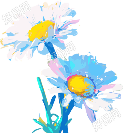 雏菊矢量插画