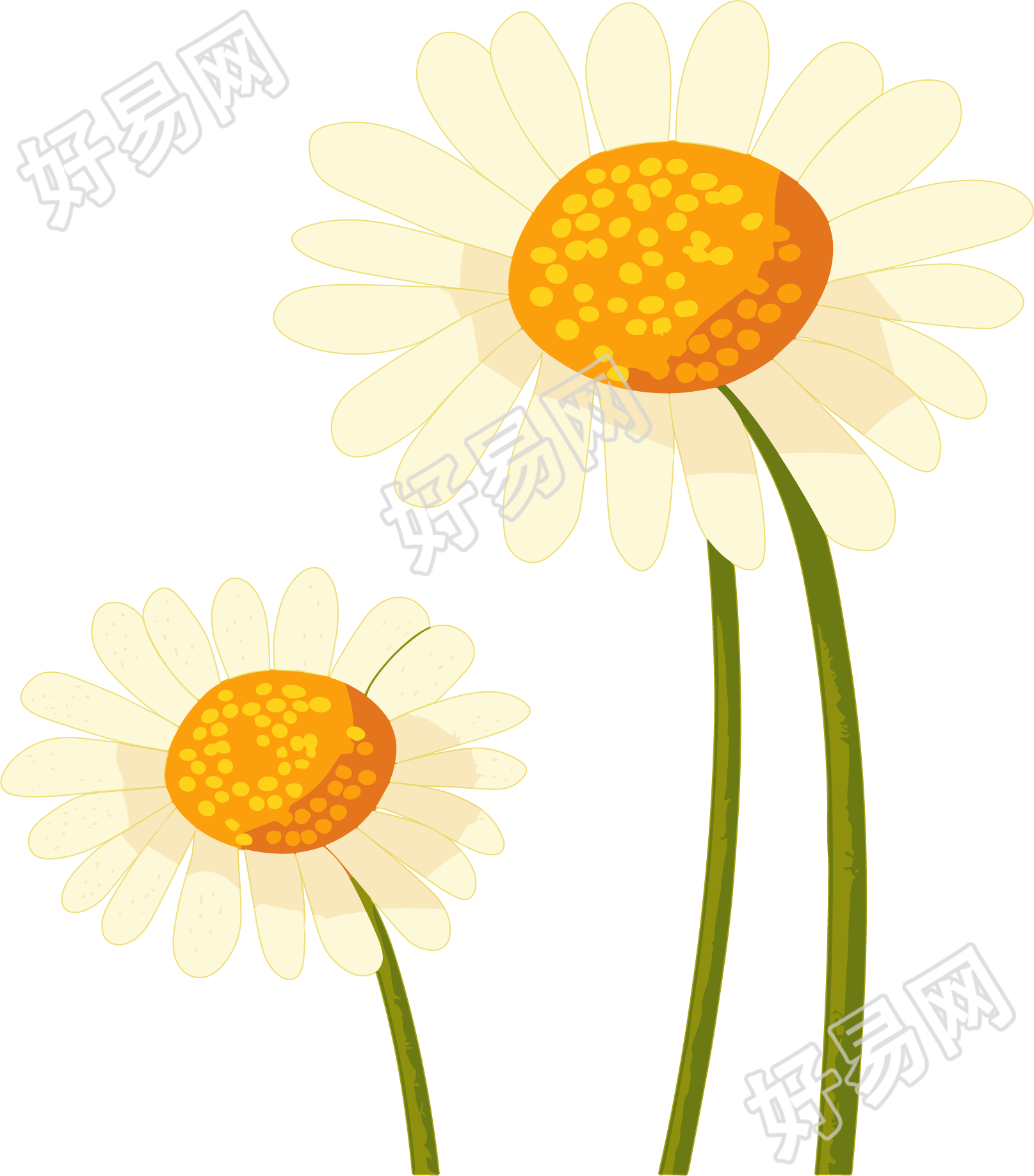 雏菊花瓣插画