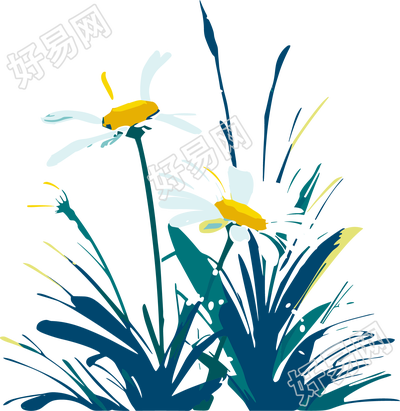 雏菊向量插画素材